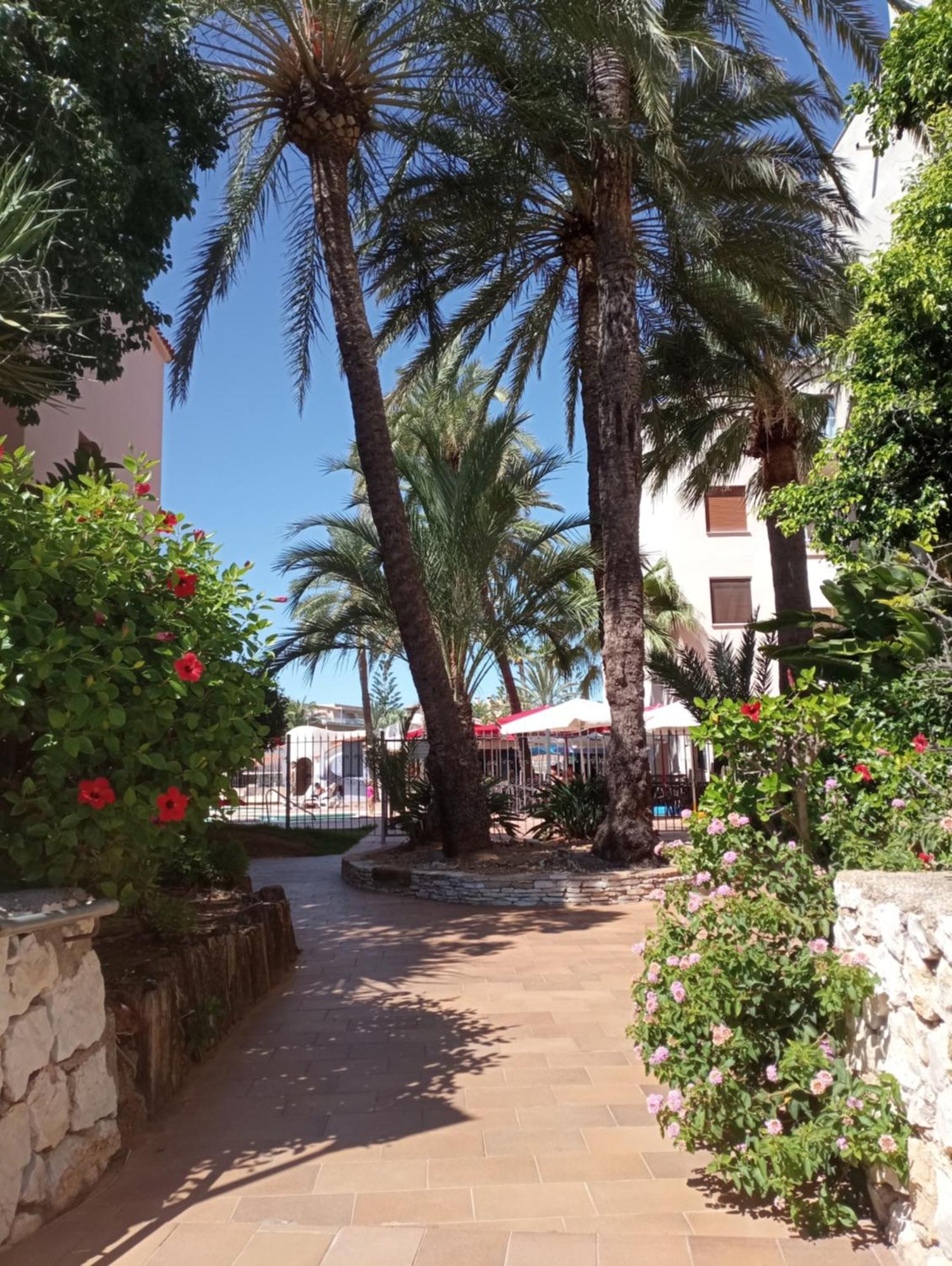 Apartamento Parchis Con Piscina Denia Zewnętrze zdjęcie